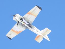 2021 Winter RonanField